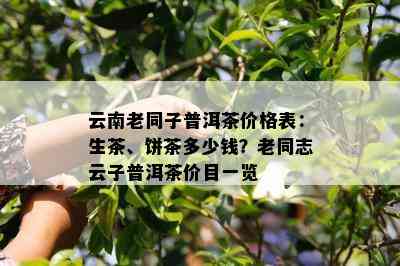 云南老同子普洱茶价格表：生茶、饼茶多少钱？老同志云子普洱茶价目一览