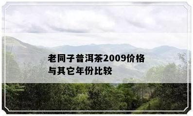 老同子普洱茶2009价格与其它年份比较