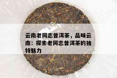 云南老同志普洱茶，品味云南：探索老同志普洱茶的特别魅力