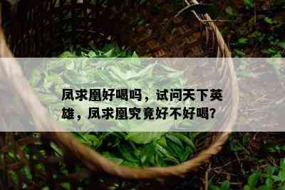 凤求凰好喝吗，试问天下英雄，凤求凰究竟好不好喝？