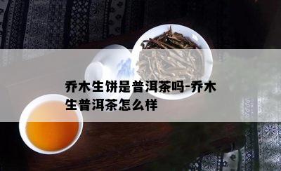 乔木生饼是普洱茶吗-乔木生普洱茶怎么样