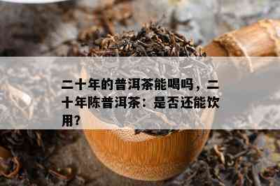 二十年的普洱茶能喝吗，二十年陈普洱茶：是否还能饮用？