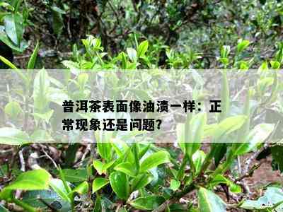 普洱茶表面像油渍一样：正常现象还是疑问？