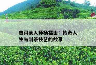 普洱茶大师杨福山：传奇人生与制茶技艺的故事