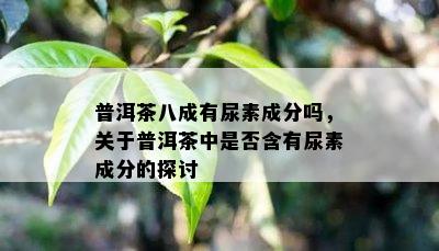 普洱茶八成有尿素成分吗，关于普洱茶中是否含有尿素成分的探讨