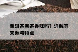 普洱茶有茶香味吗？详解其来源与特点