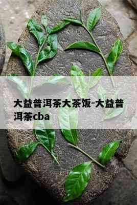 大益普洱茶大茶饭-大益普洱茶cba