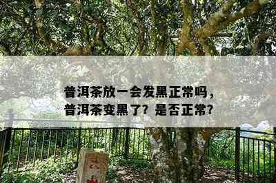 普洱茶放一会发黑正常吗，普洱茶变黑了？是否正常？