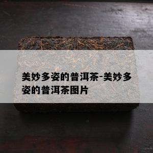 美妙多姿的普洱茶-美妙多姿的普洱茶图片