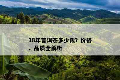 18年普洱茶多少钱？价格、品质全解析