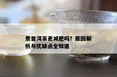 煮普洱茶更减肥吗？原因解析与优缺点全知道