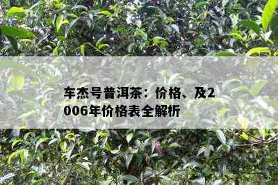 车杰号普洱茶：价格、及2006年价格表全解析