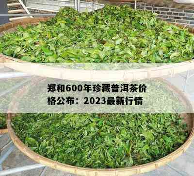 郑和600年珍藏普洱茶价格公布：2023最新行情