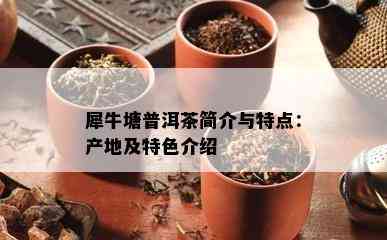 犀牛塘普洱茶简介与特点：产地及特色介绍