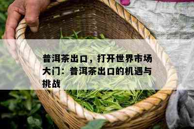 普洱茶出口，打开世界市场大门：普洱茶出口的机遇与挑战