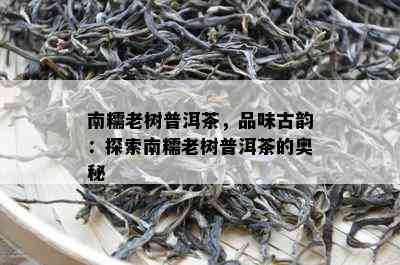 南糯老树普洱茶，品味古韵：探索南糯老树普洱茶的奥秘