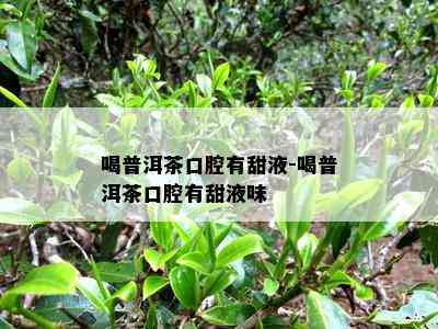 喝普洱茶口腔有甜液-喝普洱茶口腔有甜液味