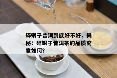 碎银子普洱到底好不好，揭秘：碎银子普洱茶的品质究竟如何？