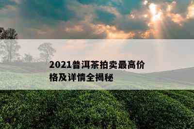 2021普洱茶拍卖更高价格及详情全揭秘