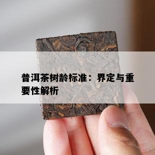 普洱茶树龄标准：界定与关键性解析