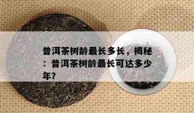 普洱茶树龄最长多长，揭秘：普洱茶树龄最长可达多少年？