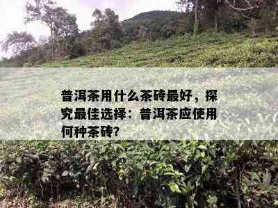 普洱茶用什么茶砖更好，探究更佳选择：普洱茶应使用何种茶砖？