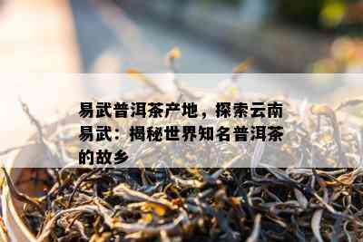 易武普洱茶产地，探索云南易武：揭秘世界知名普洱茶的故乡