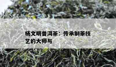 杨文明普洱茶：传承制茶技艺的大师与