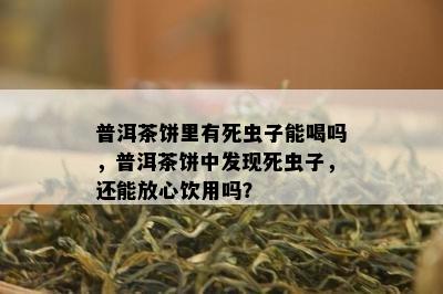 普洱茶饼里有死虫子能喝吗，普洱茶饼中发现死虫子，还能放心饮用吗？