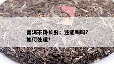 普洱茶饼长虫：还能喝吗？如何处理？