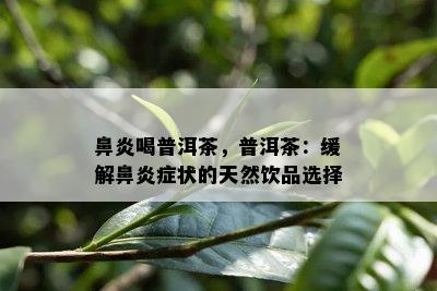 鼻炎喝普洱茶，普洱茶：缓解鼻炎症状的天然饮品选择