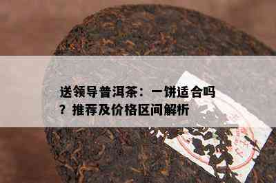 送领导普洱茶：一饼适合吗？推荐及价格区间解析