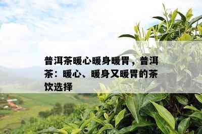 普洱茶暖心暖身暖胃，普洱茶：暖心、暖身又暖胃的茶饮选择