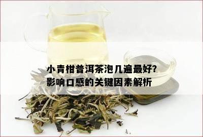 小青柑普洱茶泡几遍更好？影响口感的关键因素解析