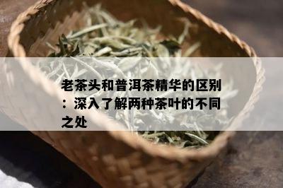 老茶头和普洱茶精华的区别：深入熟悉两种茶叶的不同之处