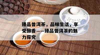 臻品普洱茶，品味生活，享受醇香——臻品普洱茶的魅力探究