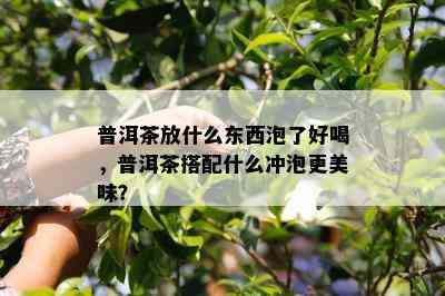 普洱茶放什么东西泡了好喝，普洱茶搭配什么冲泡更美味？