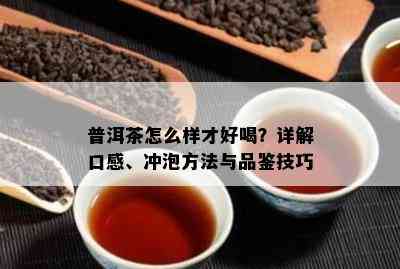 普洱茶怎么样才好喝？详解口感、冲泡方法与品鉴技巧