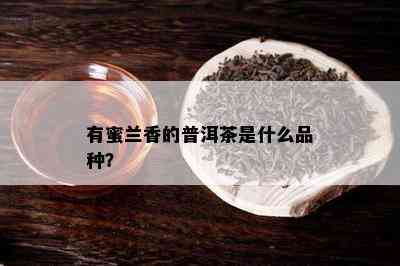 有蜜兰香的普洱茶是什么品种？