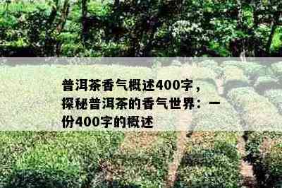 普洱茶香气概述400字，探秘普洱茶的香气世界：一份400字的概述