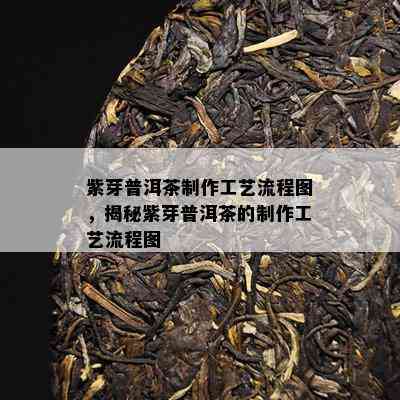 紫芽普洱茶制作工艺流程图，揭秘紫芽普洱茶的制作工艺流程图