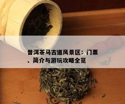 普洱茶马古道风景区：门票、简介与游玩攻略全览