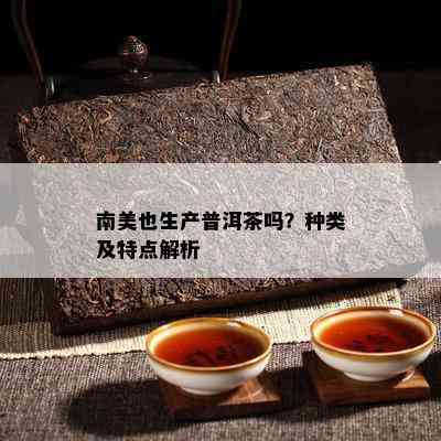 南美也生产普洱茶吗？种类及特点解析