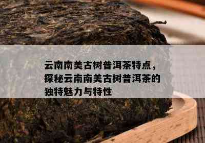 云南南美古树普洱茶特点，探秘云南南美古树普洱茶的特别魅力与特性