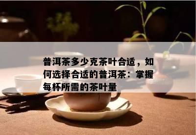 普洱茶多少克茶叶合适，怎样选择合适的普洱茶：掌握每杯所需的茶叶量