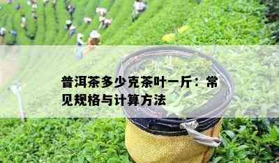 普洱茶多少克茶叶一斤：常见规格与计算方法