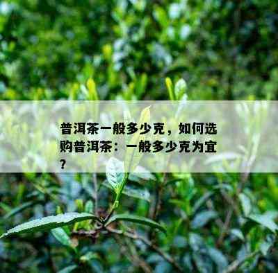 普洱茶一般多少克，如何选购普洱茶：一般多少克为宜？