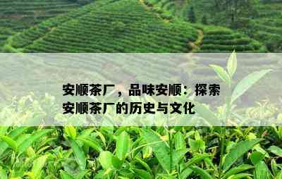 安顺茶厂，品味安顺：探索安顺茶厂的历史与文化