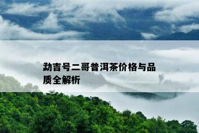 勐吉号二哥普洱茶价格与品质全解析