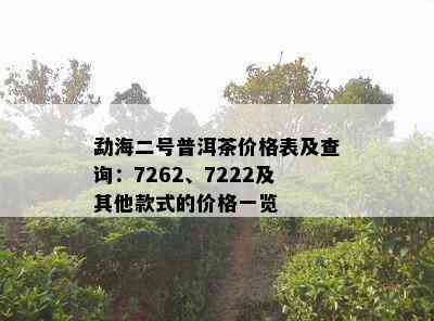 勐海二号普洱茶价格表及查询：7262、7222及其他款式的价格一览